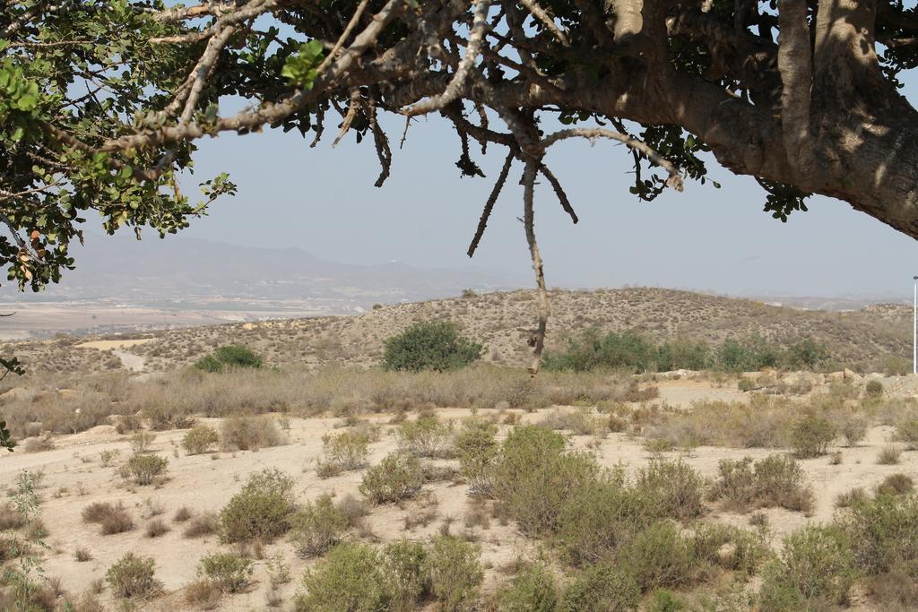 فيلا Casa Alegria ماثارّون المظهر الخارجي الصورة